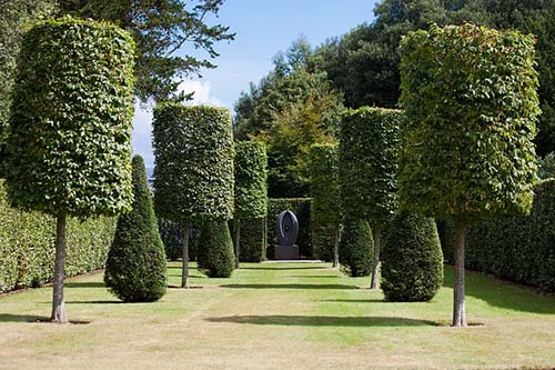 arlington-mowing-pros-trimmed-shrub